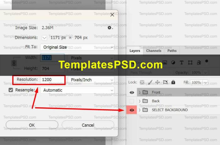 fake template psd resolution