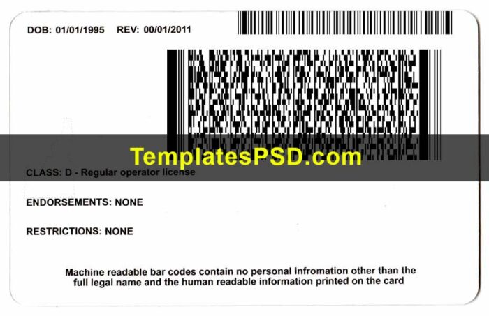 Idaho Driver License Template PSD Back